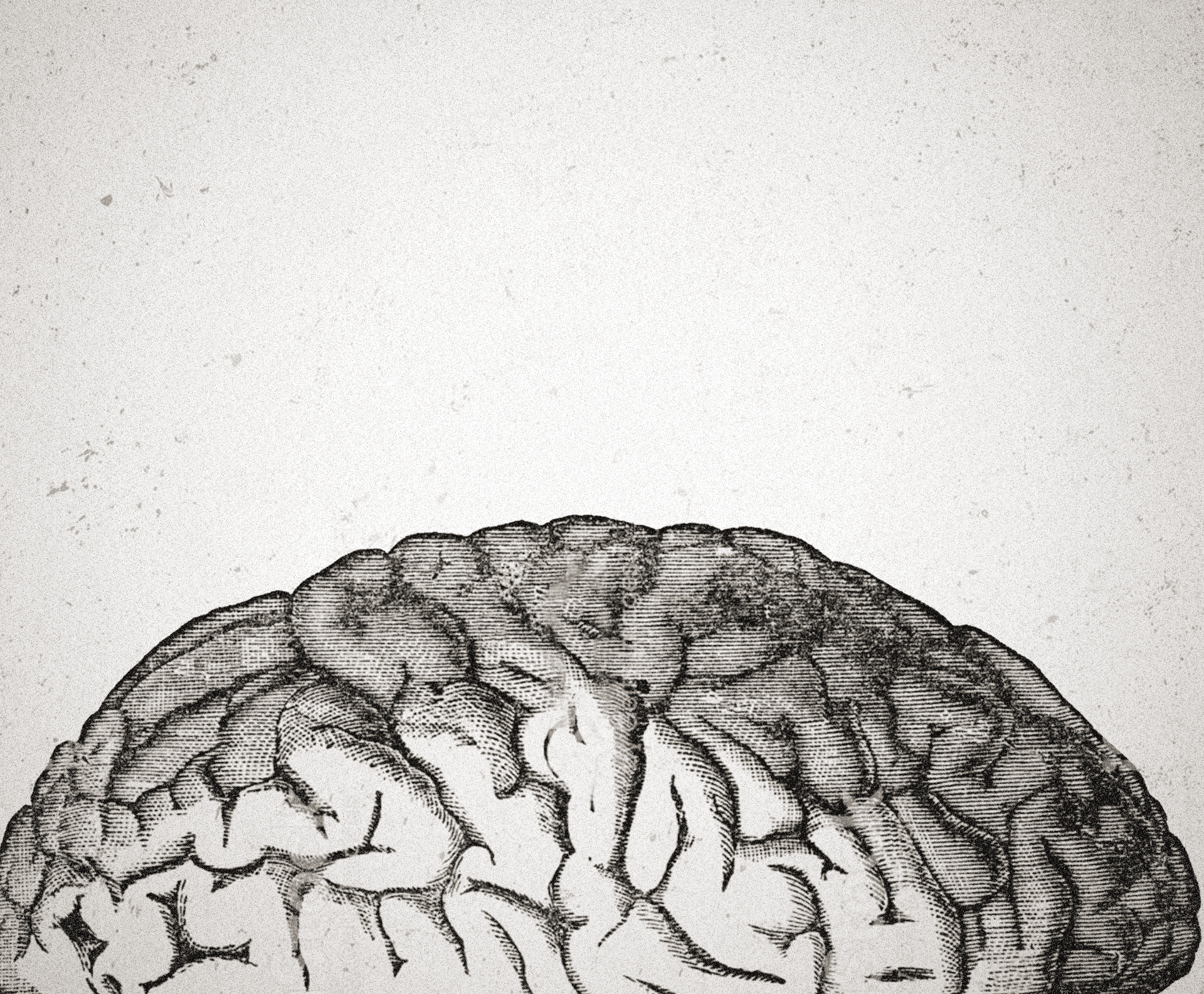 Ilustración de un cerebro y una red neuronal